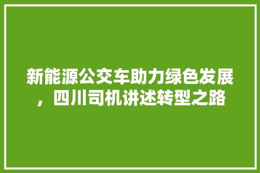 新能源公交车助力绿色发展，四川司机讲述转型之路