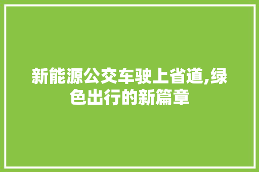 新能源公交车驶上省道,绿色出行的新篇章