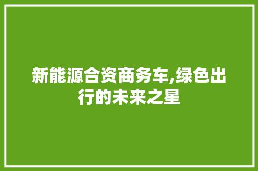 新能源合资商务车,绿色出行的未来之星