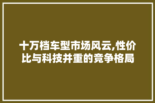十万档车型市场风云,性价比与科技并重的竞争格局