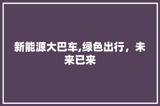 新能源大巴车,绿色出行，未来已来