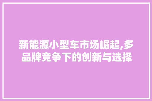 新能源小型车市场崛起,多品牌竞争下的创新与选择