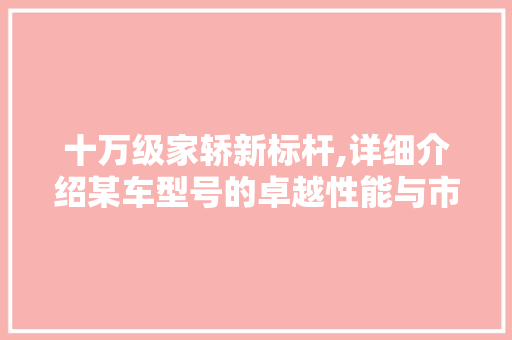 十万级家轿新标杆,详细介绍某车型号的卓越性能与市场前景