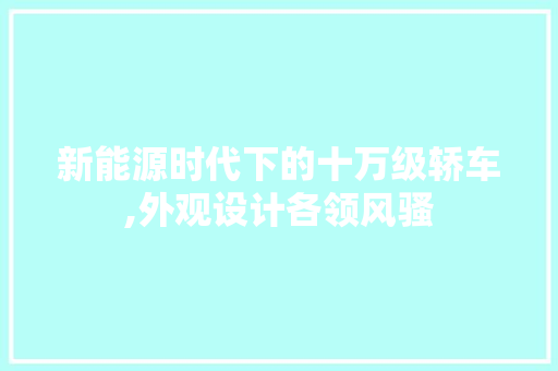 新能源时代下的十万级轿车,外观设计各领风骚
