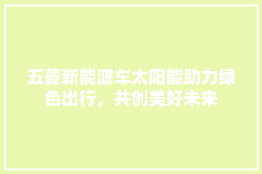 五菱新能源车太阳能助力绿色出行，共创美好未来