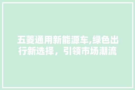 五菱通用新能源车,绿色出行新选择，引领市场潮流