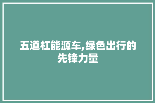 五道杠能源车,绿色出行的先锋力量
