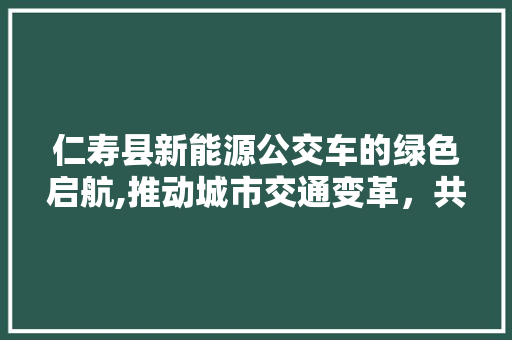 仁寿县新能源公交车的绿色启航,推动城市交通变革，共创美好未来