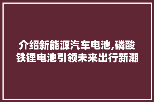 介绍新能源汽车电池,磷酸铁锂电池引领未来出行新潮流