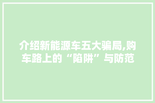 介绍新能源车五大骗局,购车路上的“陷阱”与防范