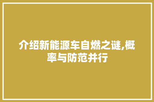 介绍新能源车自燃之谜,概率与防范并行