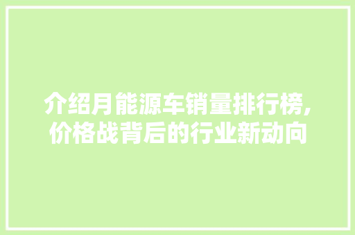 介绍月能源车销量排行榜,价格战背后的行业新动向