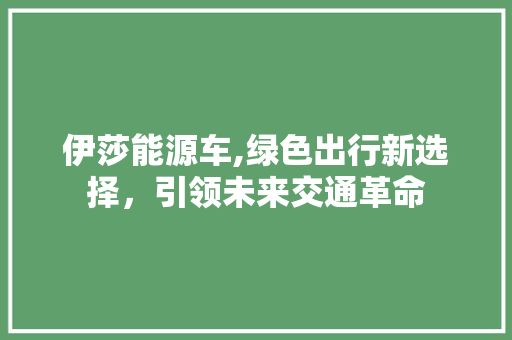 伊莎能源车,绿色出行新选择，引领未来交通革命