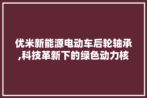 优米新能源电动车后轮轴承,科技革新下的绿色动力核心 车身配件