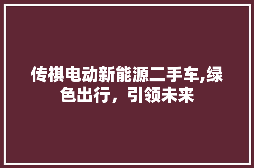 传祺电动新能源二手车,绿色出行，引领未来 底盘配件