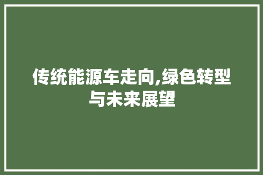 传统能源车走向,绿色转型与未来展望