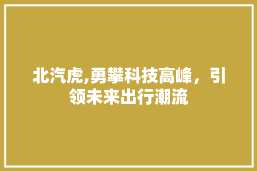北汽虎,勇攀科技高峰，引领未来出行潮流