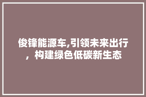 俊锋能源车,引领未来出行，构建绿色低碳新生态
