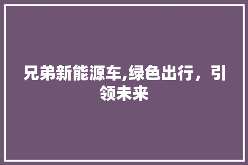 兄弟新能源车,绿色出行，引领未来