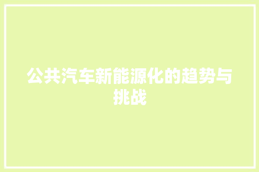 公共汽车新能源化的趋势与挑战