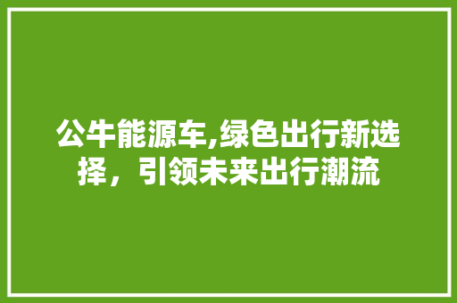 公牛能源车,绿色出行新选择，引领未来出行潮流