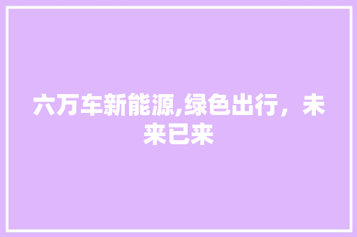六万车新能源,绿色出行，未来已来