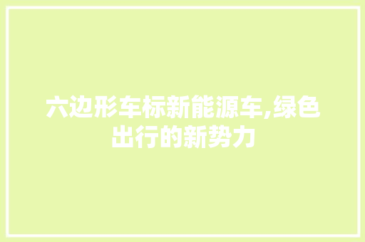 六边形车标新能源车,绿色出行的新势力