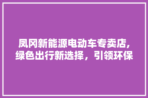 凤冈新能源电动车专卖店,绿色出行新选择，引领环保风尚
