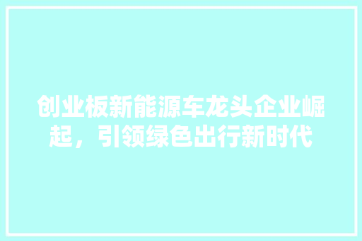 创业板新能源车龙头企业崛起，引领绿色出行新时代