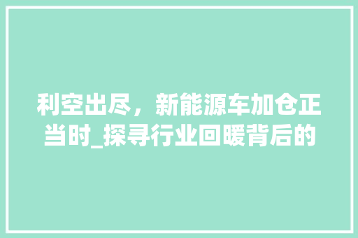 利空出尽，新能源车加仓正当时_探寻行业回暖背后的投资机遇