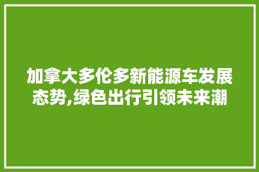 加拿大多伦多新能源车发展态势,绿色出行引领未来潮流 蓄电池配件