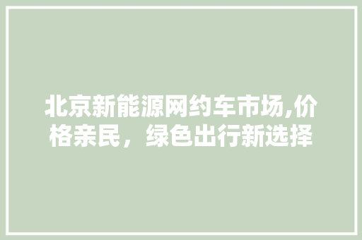 北京新能源网约车市场,价格亲民，绿色出行新选择 变速箱配件