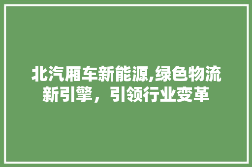 北汽厢车新能源,绿色物流新引擎，引领行业变革 汽车配件