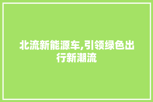 北流新能源车,引领绿色出行新潮流