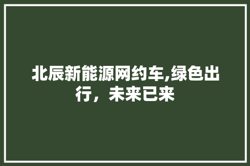 北辰新能源网约车,绿色出行，未来已来