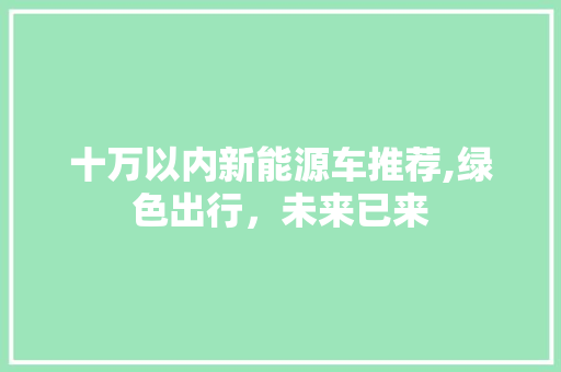 十万以内新能源车推荐,绿色出行，未来已来