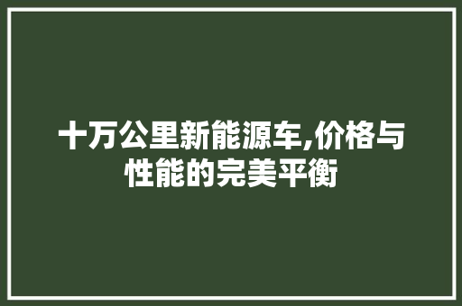 十万公里新能源车,价格与性能的完美平衡