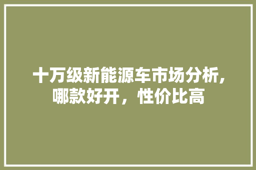 十万级新能源车市场分析,哪款好开，性价比高
