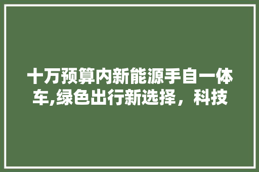 十万预算内新能源手自一体车,绿色出行新选择，科技与舒适的完美融合