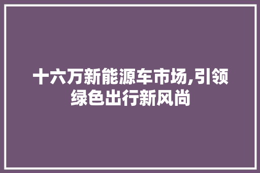 十六万新能源车市场,引领绿色出行新风尚