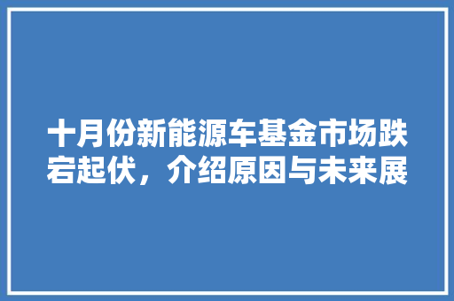 十月份新能源车基金市场跌宕起伏，介绍原因与未来展望