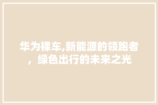 华为裸车,新能源的领跑者，绿色出行的未来之光