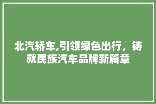 北汽轿车,引领绿色出行，铸就民族汽车品牌新篇章