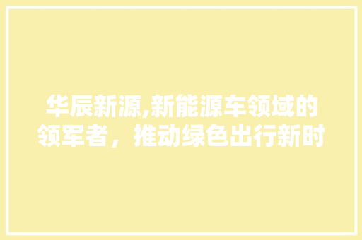 华辰新源,新能源车领域的领军者，推动绿色出行新时代