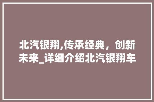 北汽银翔,传承经典，创新未来_详细介绍北汽银翔车型
