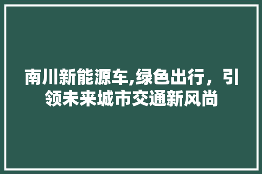 南川新能源车,绿色出行，引领未来城市交通新风尚