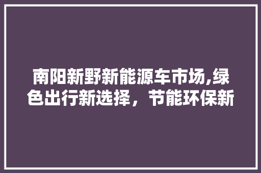 南阳新野新能源车市场,绿色出行新选择，节能环保新风向