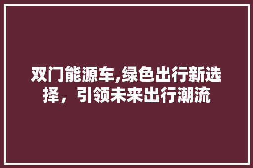 双门能源车,绿色出行新选择，引领未来出行潮流