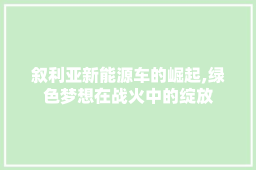 叙利亚新能源车的崛起,绿色梦想在战火中的绽放