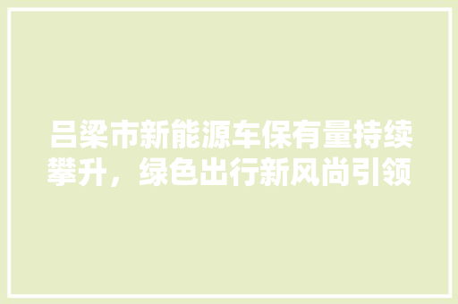 吕梁市新能源车保有量持续攀升，绿色出行新风尚引领未来